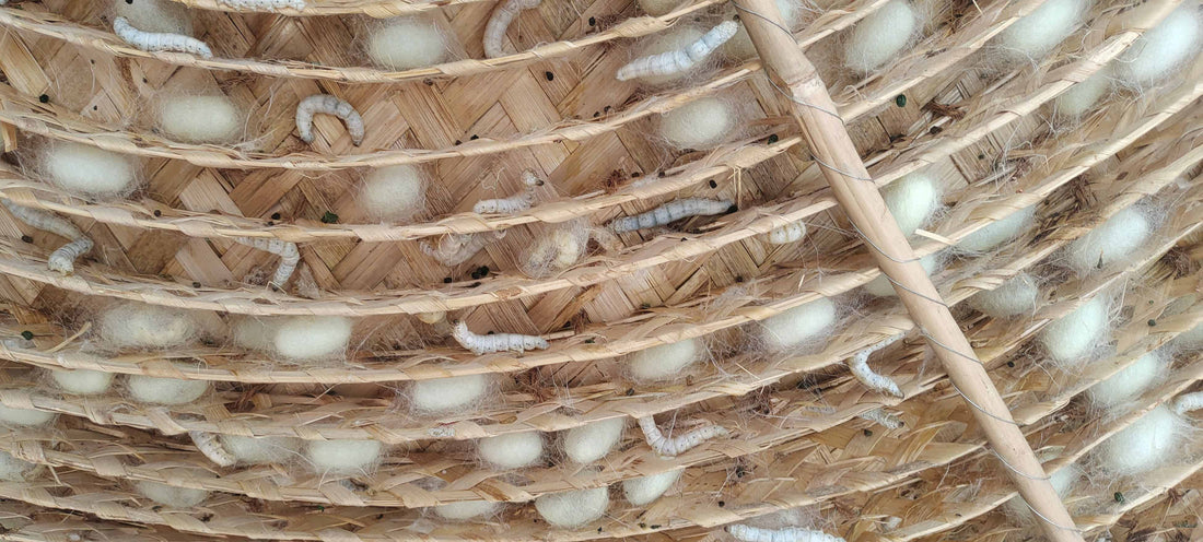 How Real Silk Is Made: From Silkworm to Luxury Fabric